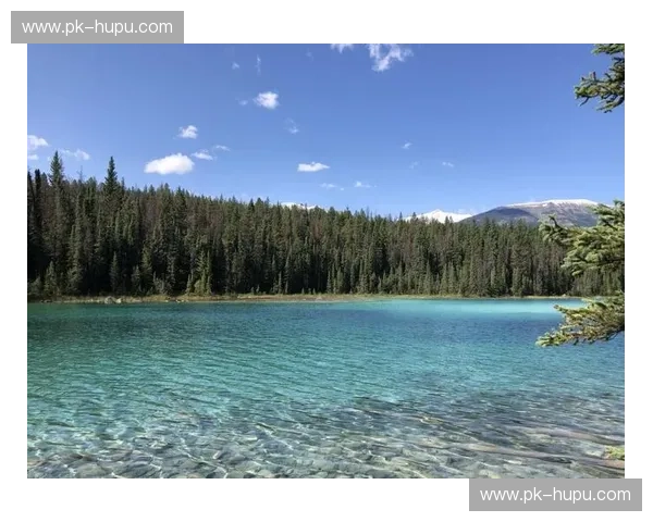 温哥华vs.多伦多:加拿大两大都会,哪座更懂你心?